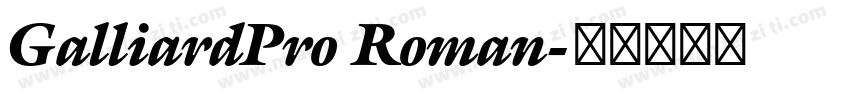 GalliardPro Roman字体转换